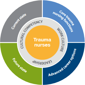 The trauma nurse professional development framework