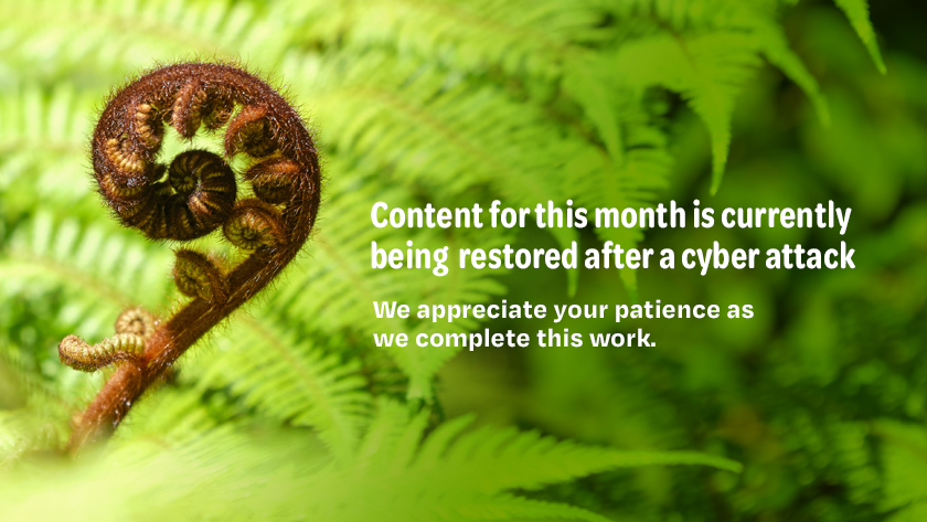 Content for this month is currently being restored after a cyber attack in December
