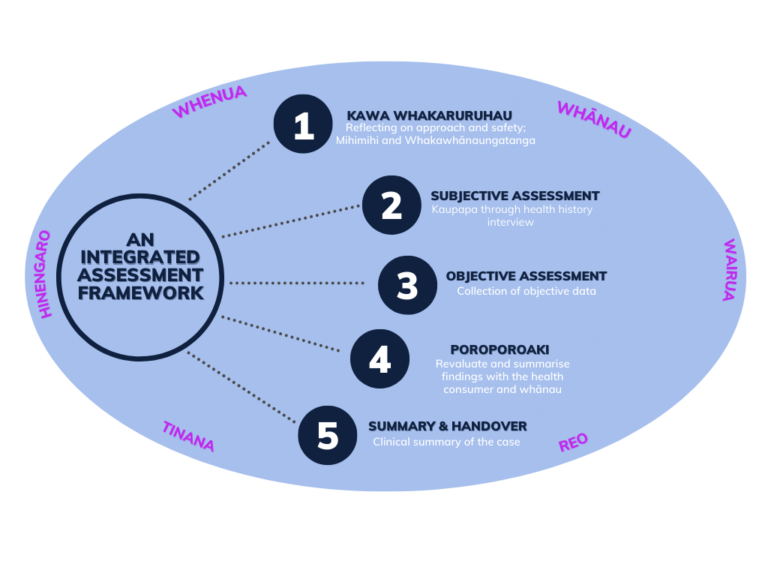 Mahere Hau — An Integrated Bicultural Nursing Assessment Framework ...