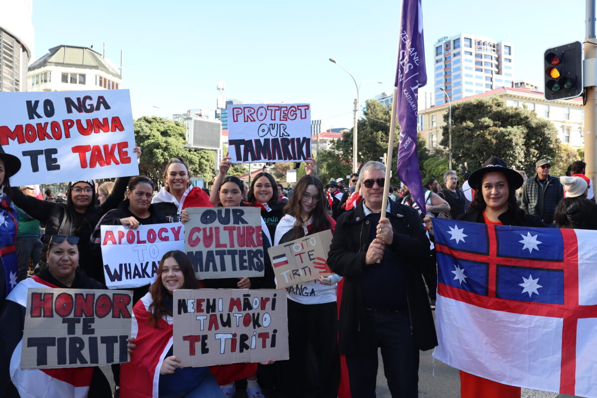‘We stand in solidarity’: Nurses and kaiāwhina turn out in support of Te Tiriti protests