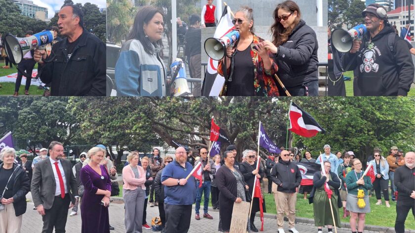 Rally hears voices of whānau under attack by Govt More than 100 people took part in a Te Rūnanga o Aotearoa NZNO-led rally today at Parliament to oppose the tabling of the Government’s Treaty Principles Bill.