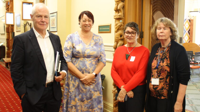 ‘It plays with lives, especially Māori lives’ – NZNO The Treaty of Waitangi and its principles are the solution to fixing the broken foundation of the country’s health system, Parliament’s Justice Select Committee has heard.