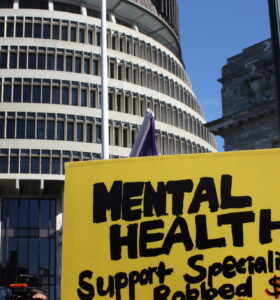 A newly-approved psychology assistant workforce will simply be another burden on overstretched health professionals, warn NZNO mental health nurses.
