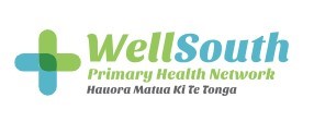 WellSouth Logo
