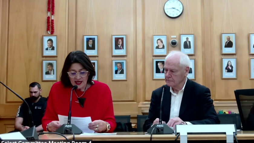 ‘This will be your legacy David Seymour’ — ACT’s Regulatory Standards Bill blasted by NZNO at hearing It's a legacy -- but one of Māori illness and early deaths.
