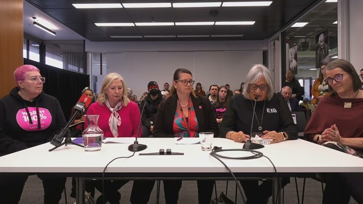 Watch: ‘Their kids can’t afford shoes’ – NZNO pay equity submission goes before the people’s select committee