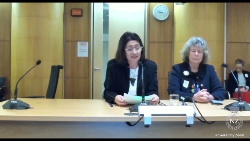 Nurses forced into silence and Māori patients left invisible — NZNO submits on Government’s health Bill New law would steal nurses' rights, roll back Māori progress: NZNO to select committee