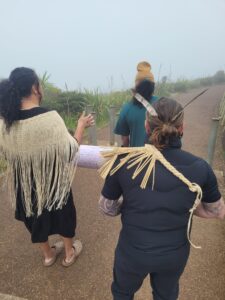 Buller Declaration gets some northern wairua