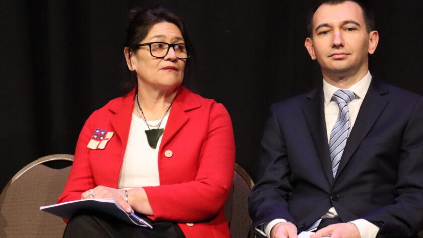 EXCLUSIVE: Measles, the Health Minister and the mystery of the Māori nominations They made a high-powered health group with no Māori voice, then made up for it with a Māori group that they might not even listen to.