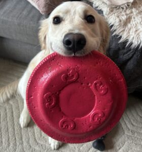 Lilah helped this graduate find her way to theatre nursing.