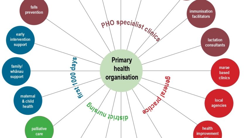 Expanding primary health student placements: Lessons from a hub-and-spoke model A pilot 