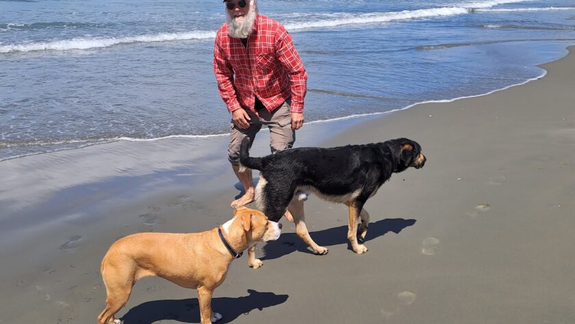 ‘Fighting for the future of public health’: The personal toll of 16 months of bargaining After 16 months, 42 meetings and several large strikes, Christchurch health-care assistant, delegate and 'long-time socialist' Allister Dietschin says 2024-26 bargaining has felt particularly gruelling.