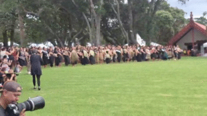 Waitangi 2026