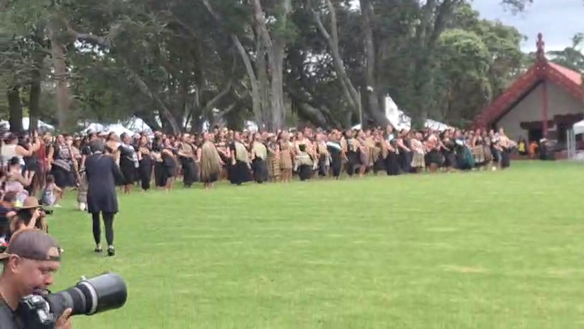 Waitangi 2026