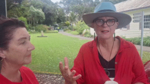 Government policy impact