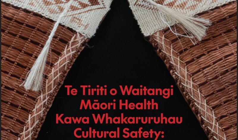 ‘There was despair’: Government’s meddling in Nursing Council slammed at hui-ā-tau 'We strongly reject the attack of the Government on the Nursing Council.'