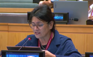 NZNO kaiwhakahaere speaks at UN indigenous forum