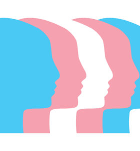 'Marcroft claims people don’t support trans health, but her Government is systematically erasing trans people.'