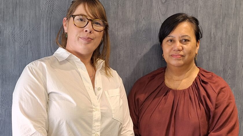 ‘You’re joking’ — exhausted ED nurses respond to HNZ promise Too little, too late and a political ploy. That was the reaction of emergency nurses to Te Whatu Ora-Health NZ's announcement it would be hiring another 380 frontline staff over the next nine months.