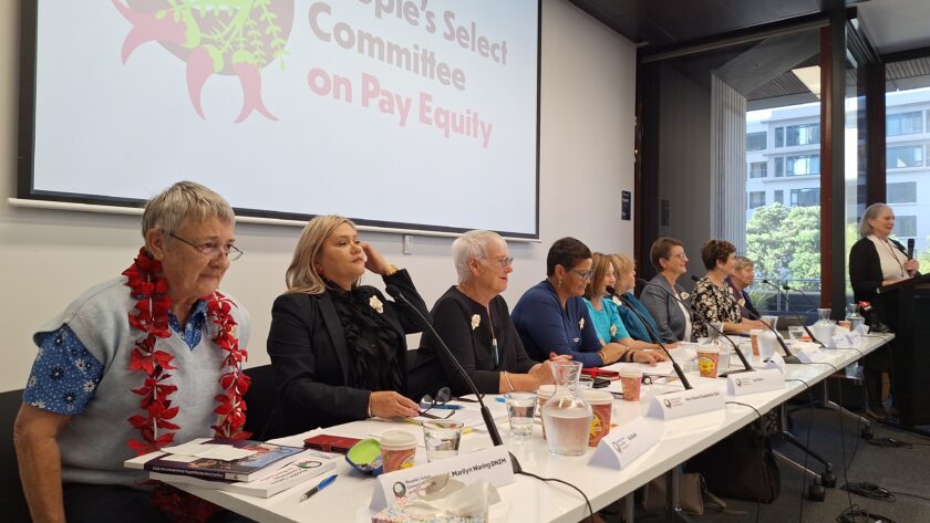 ‘Without a shred of emotion in her voice’: Sue Bradford dissects pay equity wipe-out